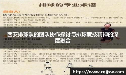 77体育