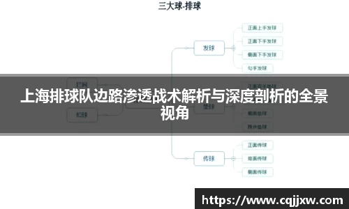 上海排球队边路渗透战术解析与深度剖析的全景视角